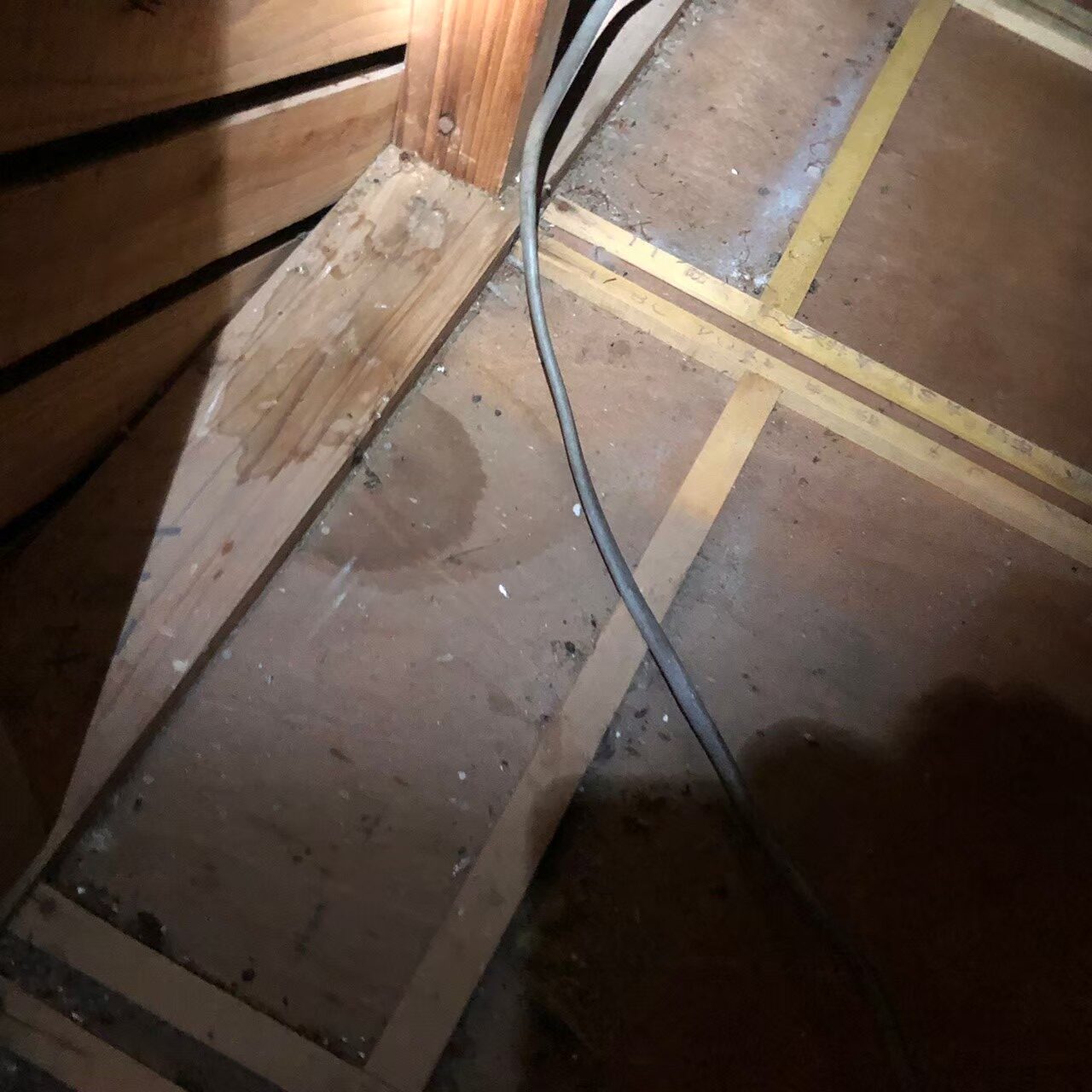 熊本県宇土市　イタチによる被害　J様邸　駆除実績