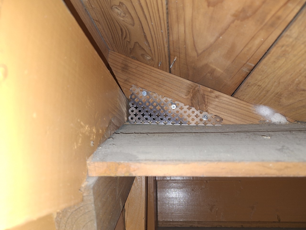 熊本県玉名市　イタチによる被害　B様邸　駆除実績