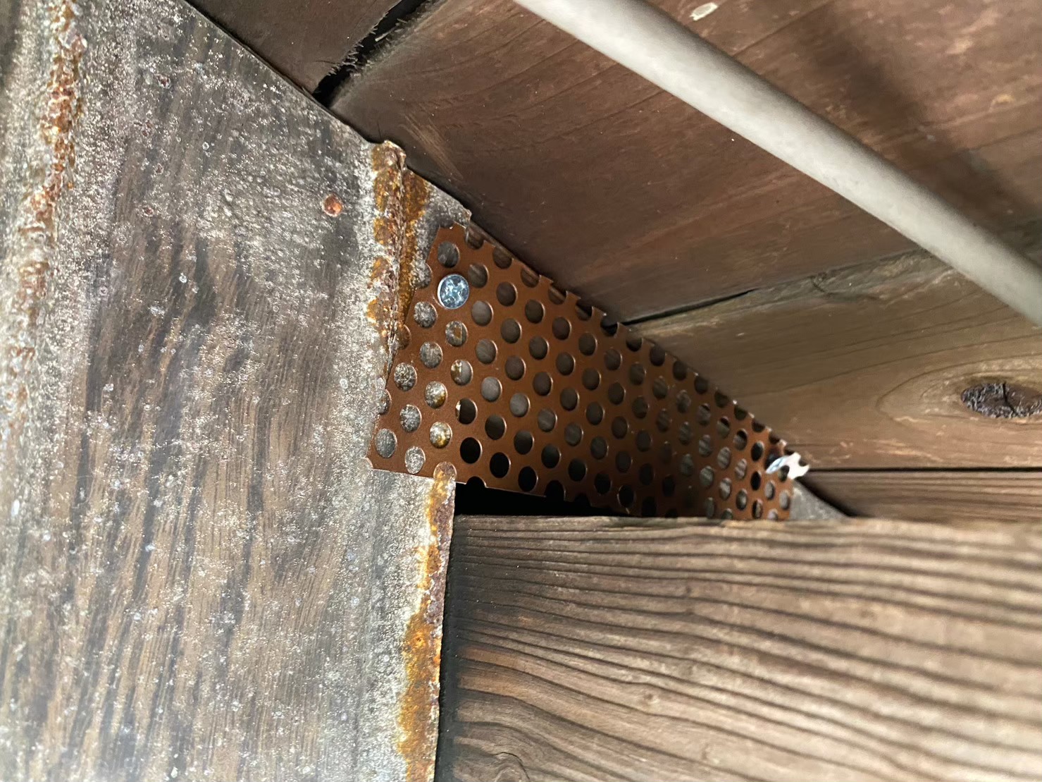 長崎県南島原市　イタチによる被害　T様邸　駆除実績