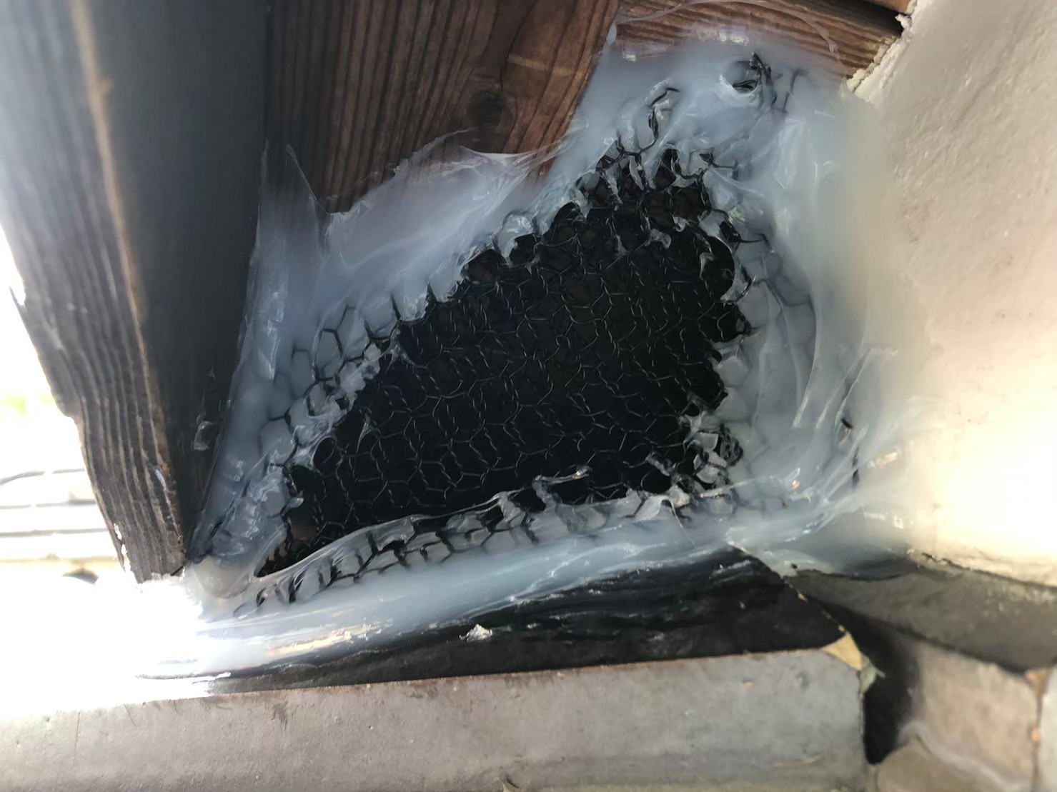 福岡県糟屋郡久山町　イタチによる被害　H様邸　駆除実績