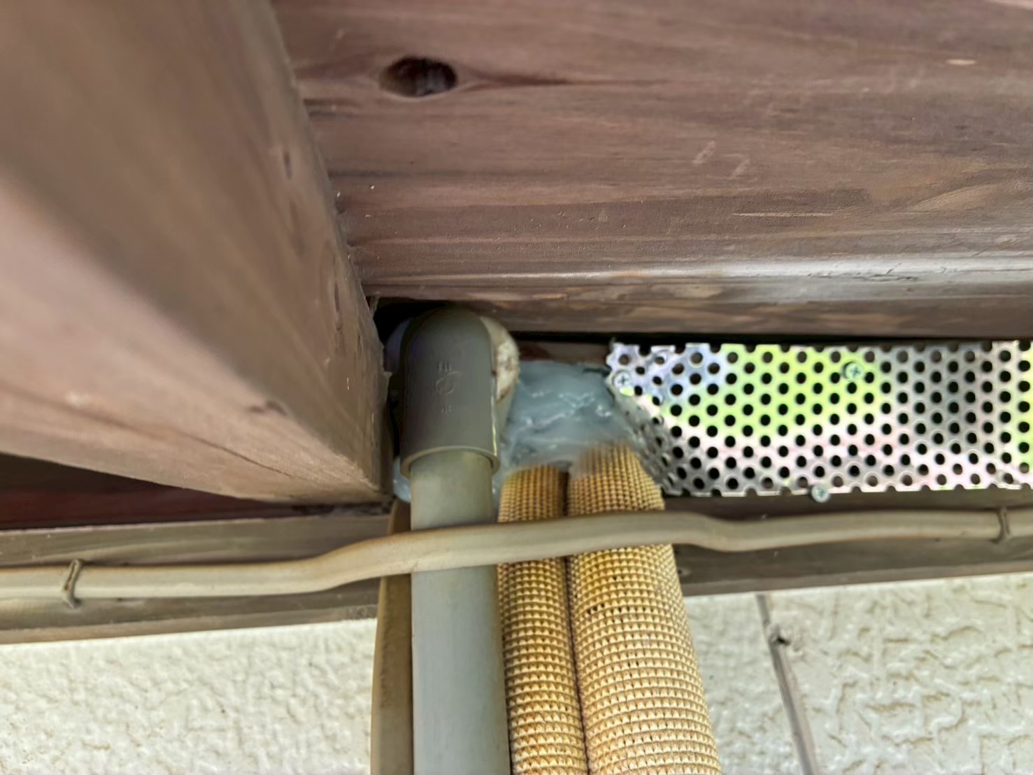 長崎県平戸市　イタチによる被害　H様邸　駆除実績