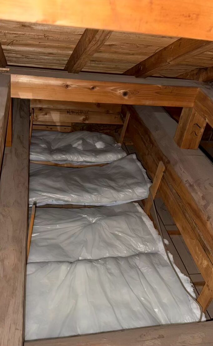 長崎県長与町　イタチによる被害　O様邸　駆除実績