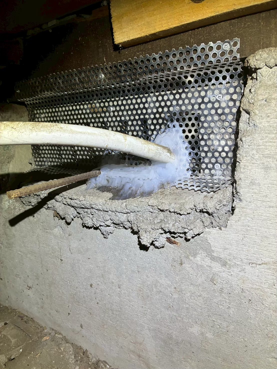 佐賀県三養基郡基山町　イタチによる被害　N様邸　駆除実績
