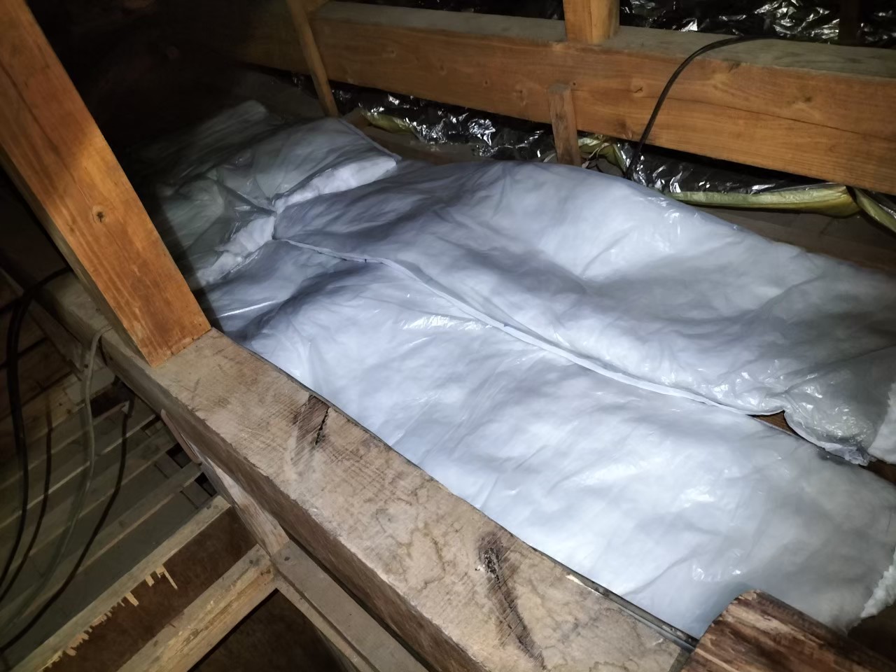 長崎県松浦市　イタチによる被害　T様邸　駆除実績