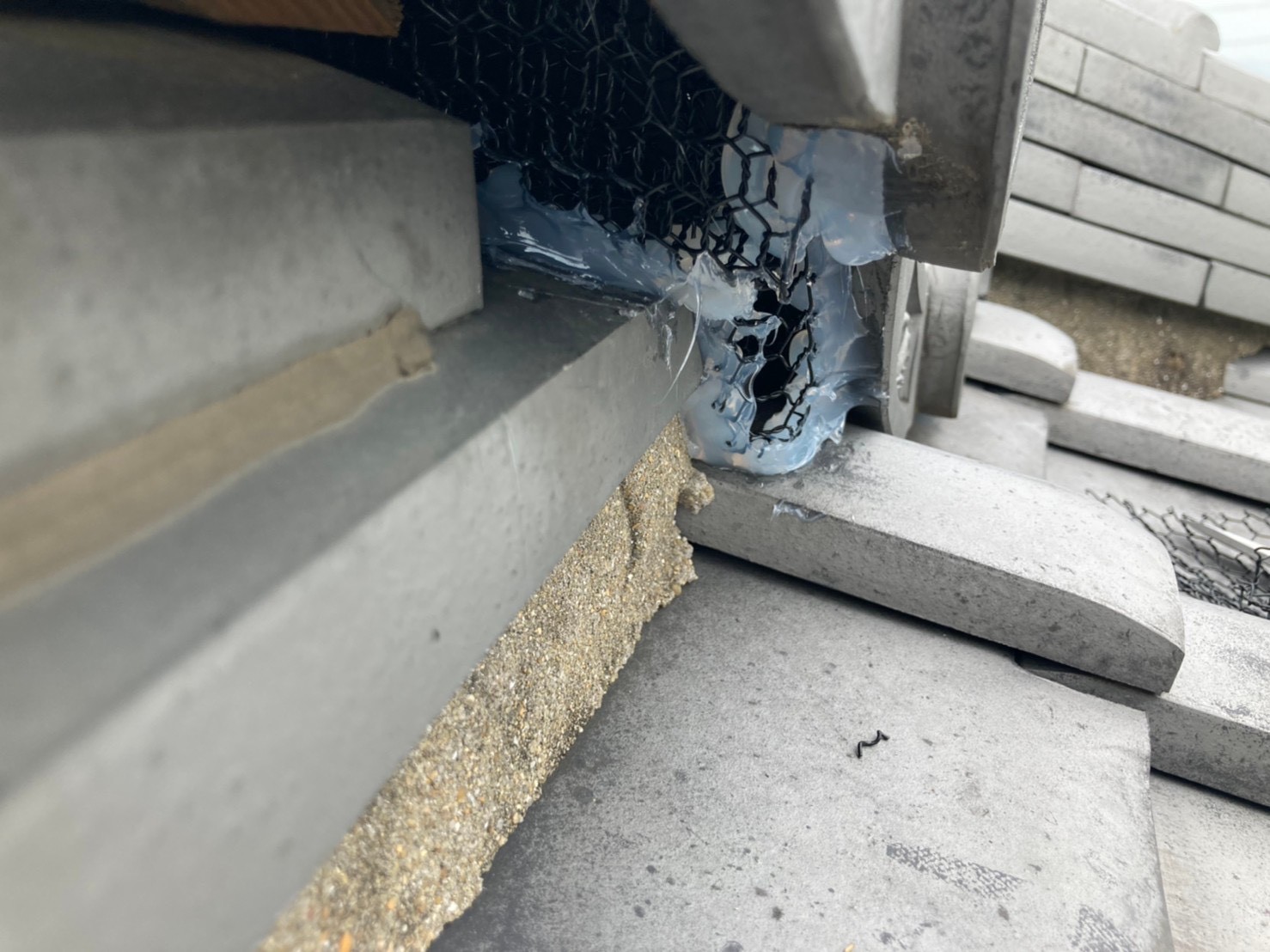 イタチ・アライグマによる被害　A様邸　駆除実績