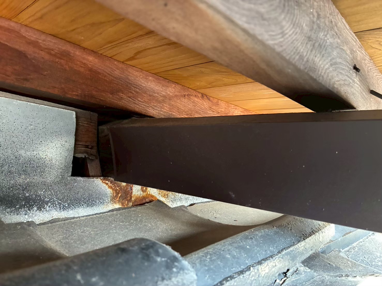 熊本県天草市　イタチによる被害　R様邸　駆除実績