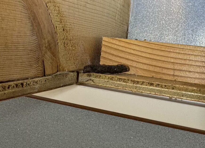 長崎県長与町　イタチによる被害　O様邸　駆除実績