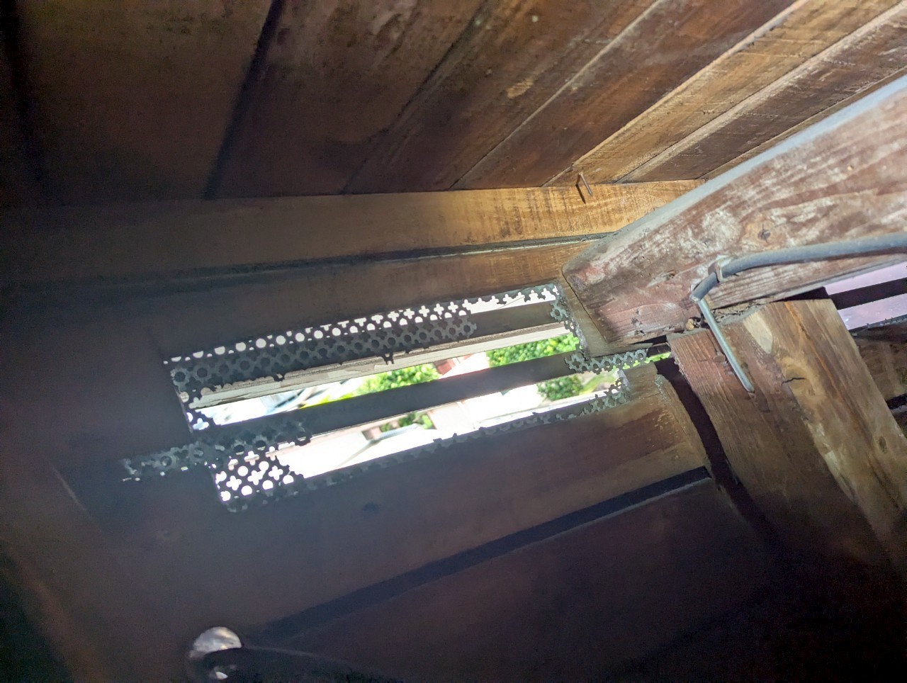 福岡県糟屋郡志免町　イタチによる被害　Y様邸　駆除実績