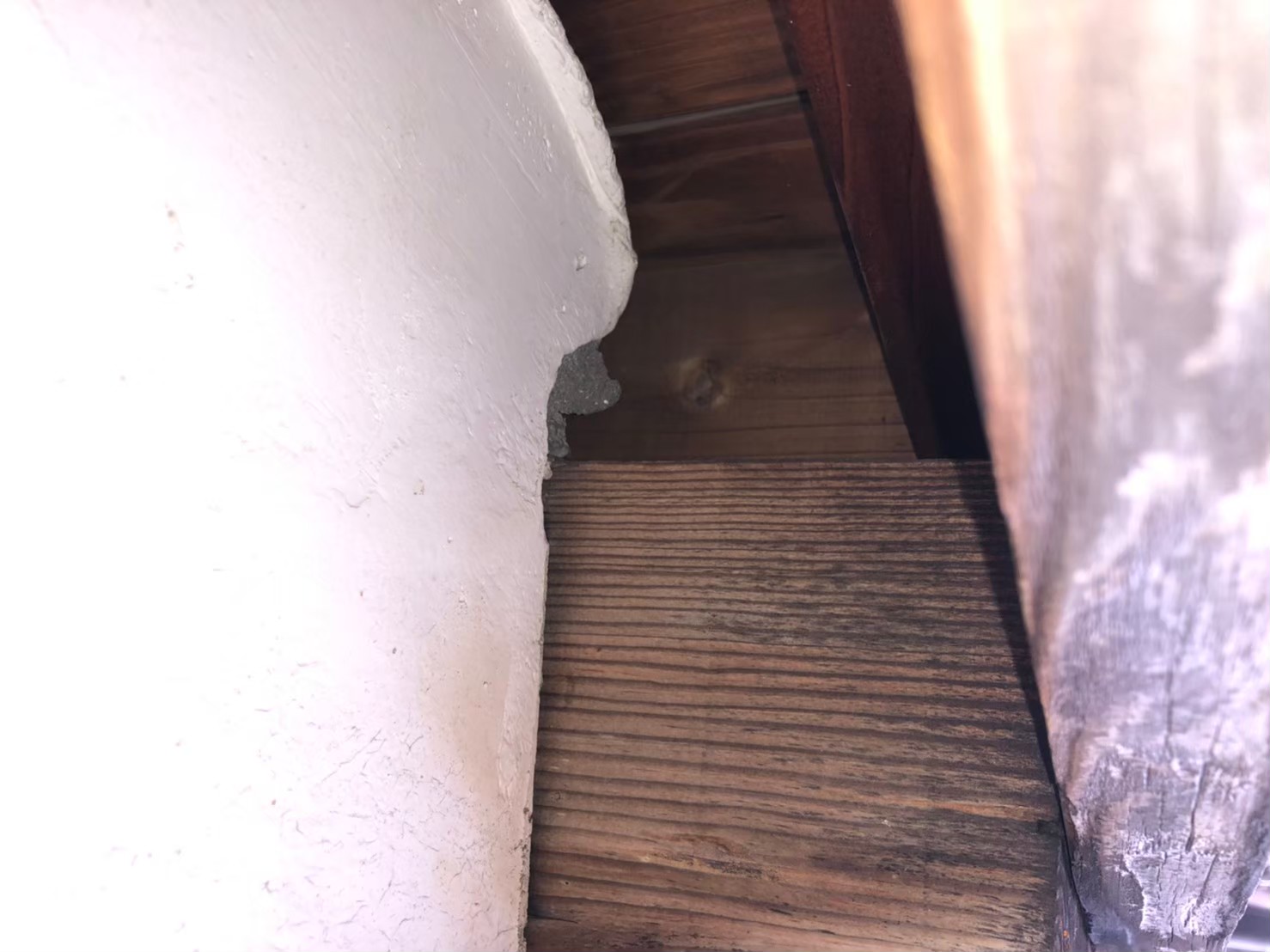 福岡県糟屋郡神宮町　イタチによる被害　I様邸　駆除実績