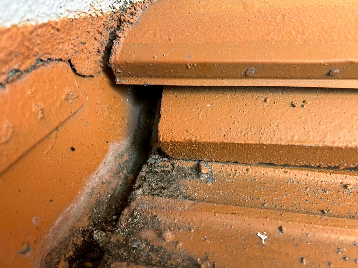 熊本県美里町　イタチによる被害　M様邸　駆除実績