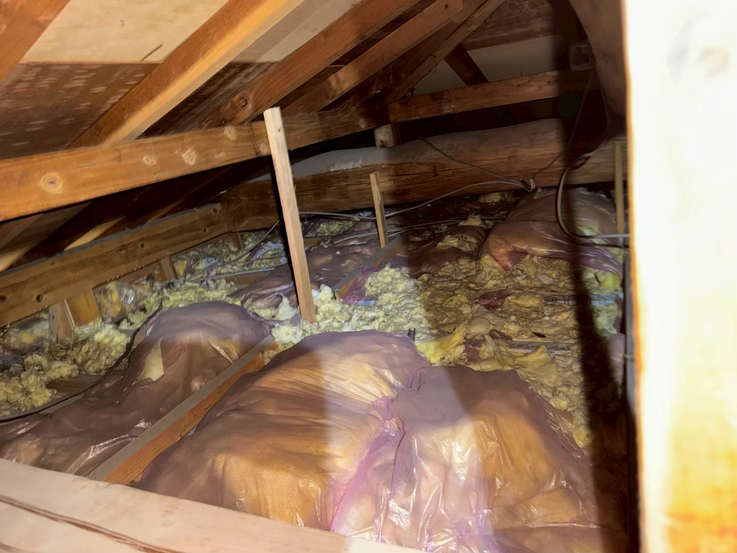 山口県下関市　イタチによる被害　A様邸　駆除実績