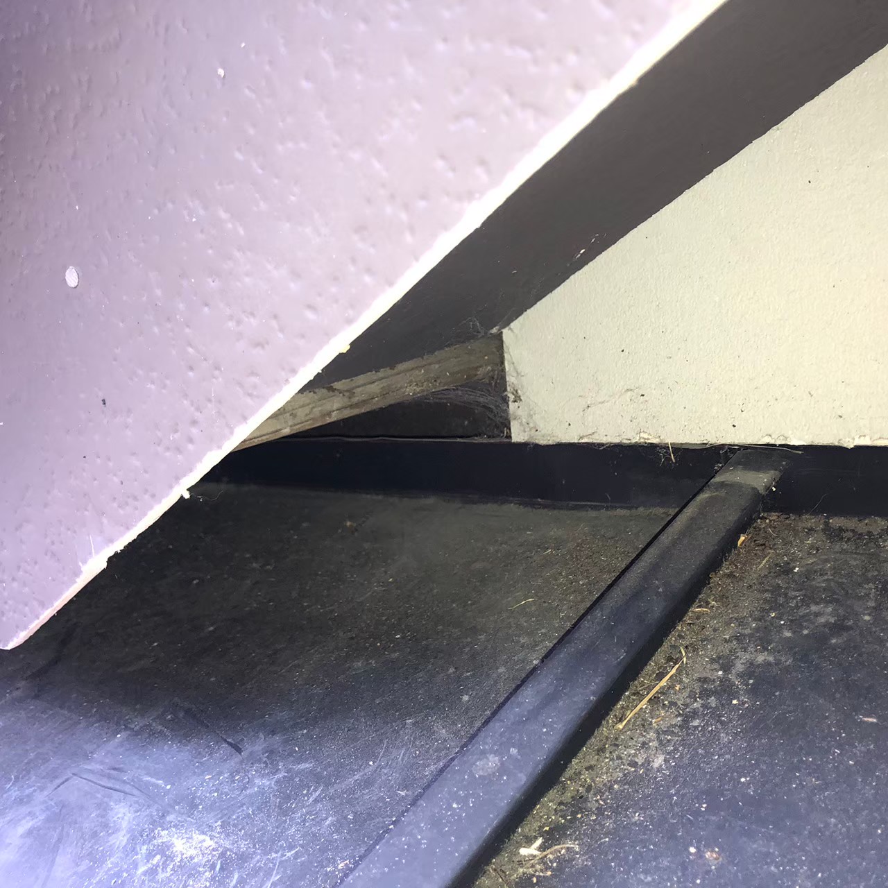 熊本県宇土市　イタチによる被害　J様邸　駆除実績