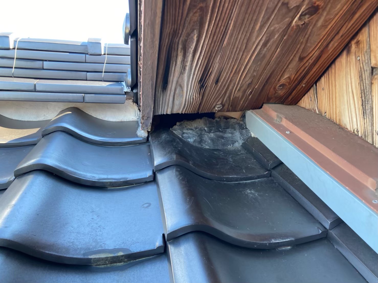 山口県下関市　イタチによる被害　I様邸　駆除実績