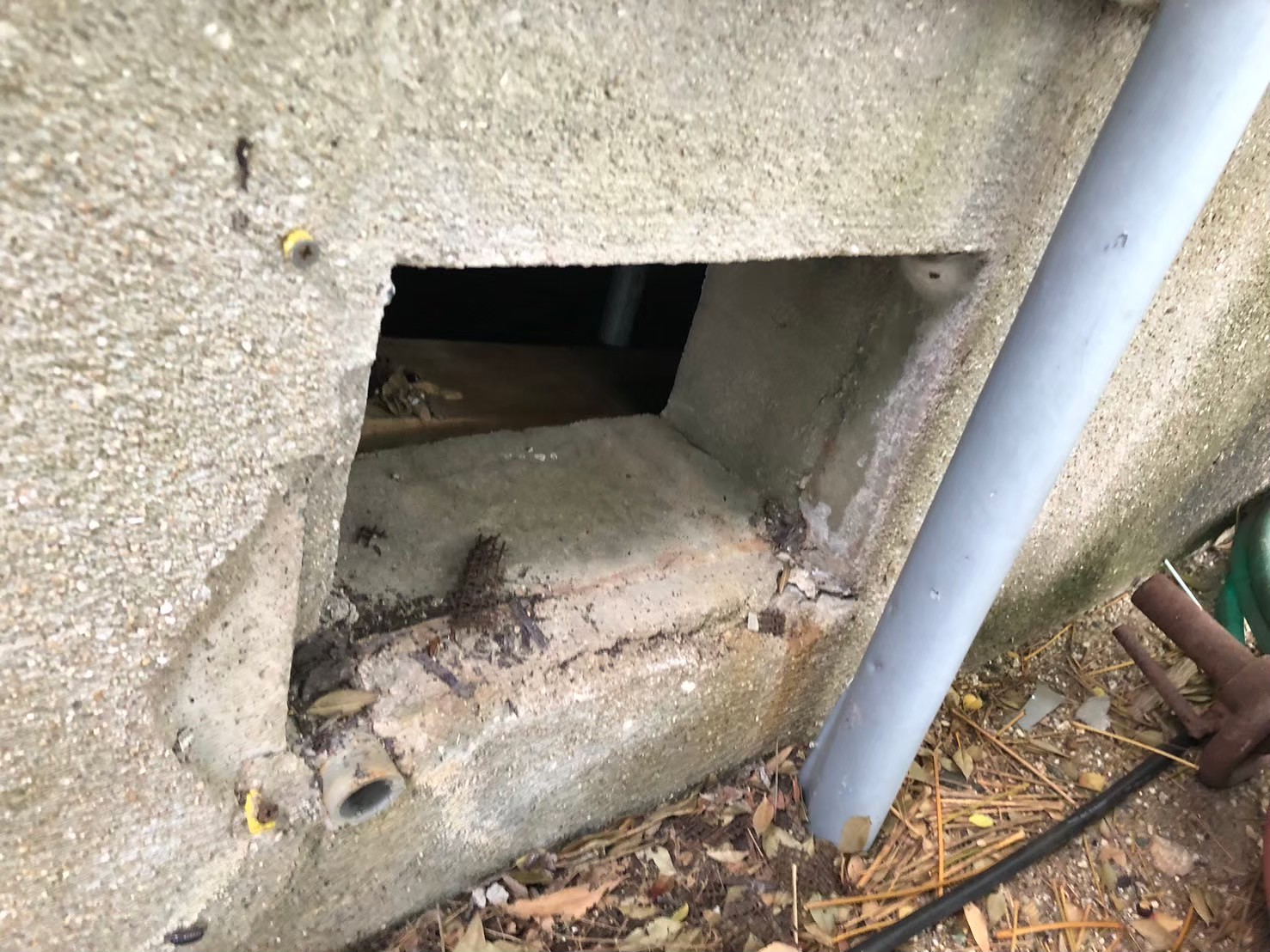 福岡県遠賀郡遠賀町　イタチによる被害　N様邸　駆除実績