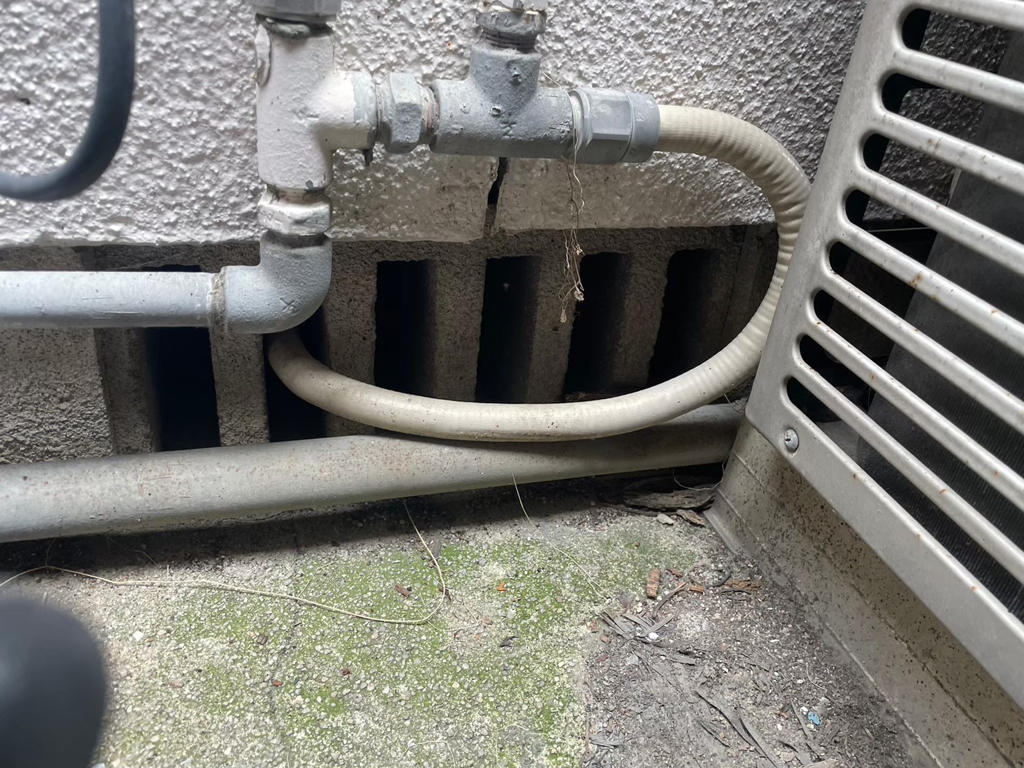 福岡県朝倉郡筑前町　イタチによる被害　A様邸　駆除実績