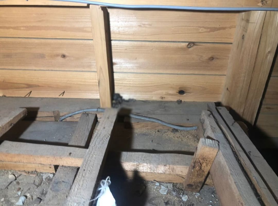 福岡県田川郡糸田町　イタチによる被害　H様邸　駆除実績