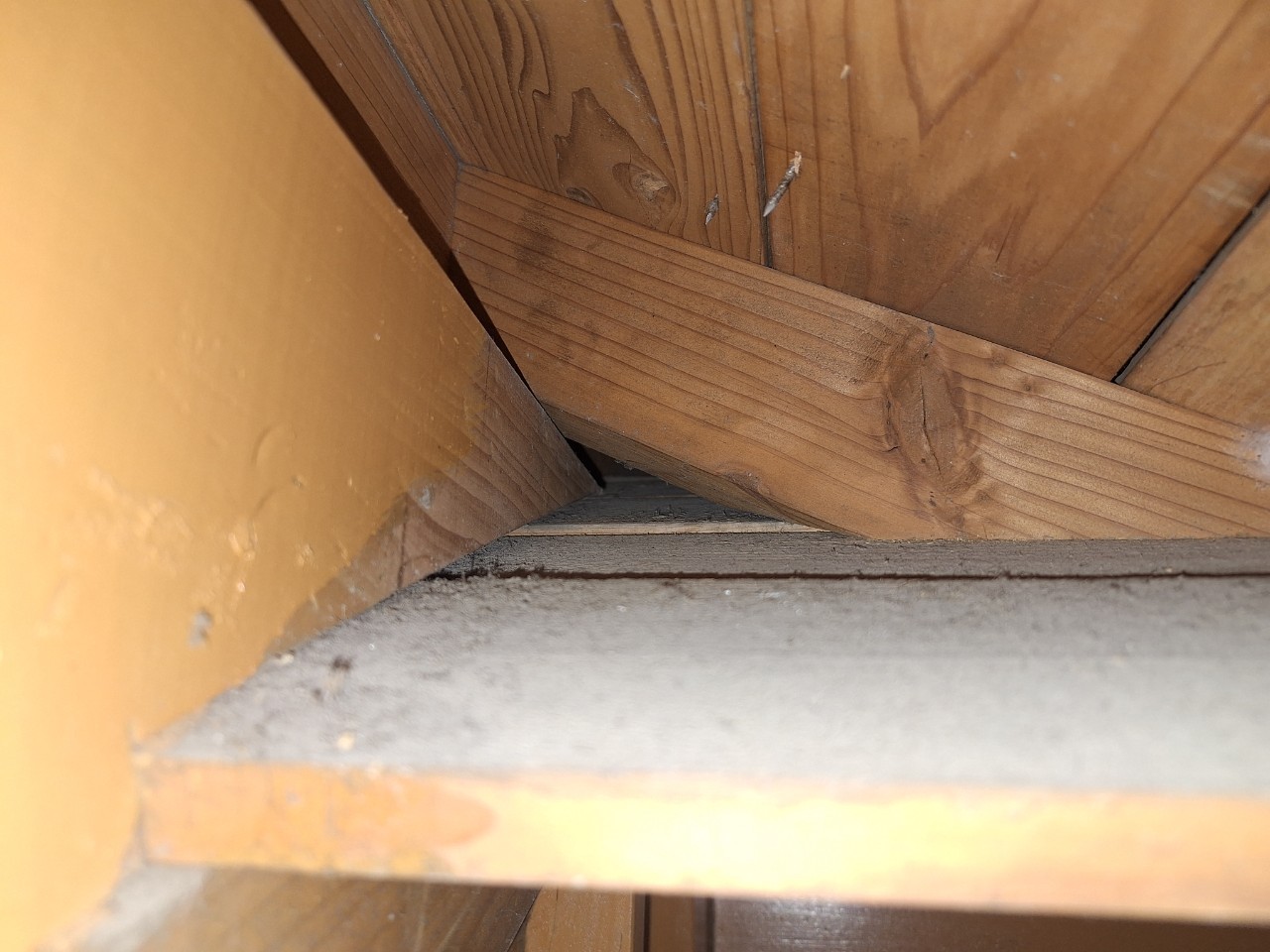 熊本県玉名市　イタチによる被害　B様邸　駆除実績