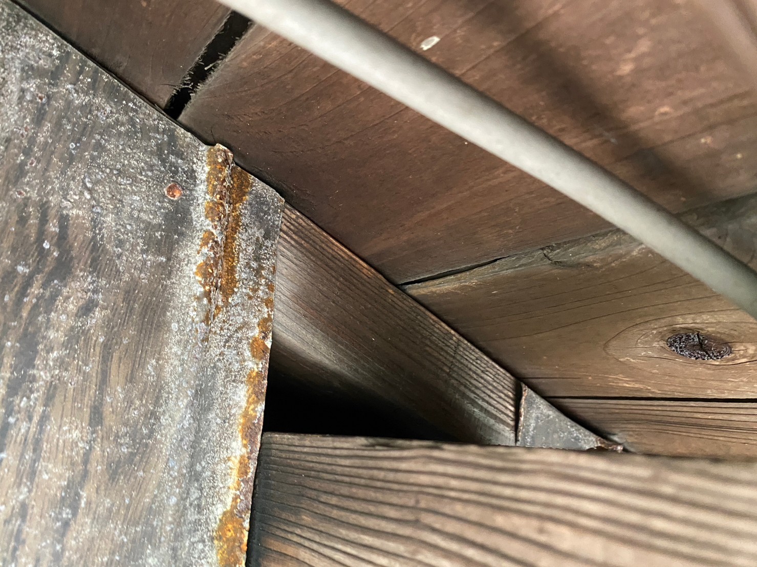 長崎県南島原市　イタチによる被害　T様邸　駆除実績