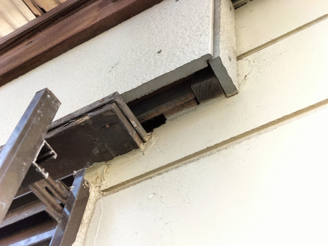 佐賀県藤津郡太良町　イタチによる被害　T様邸　駆除実績