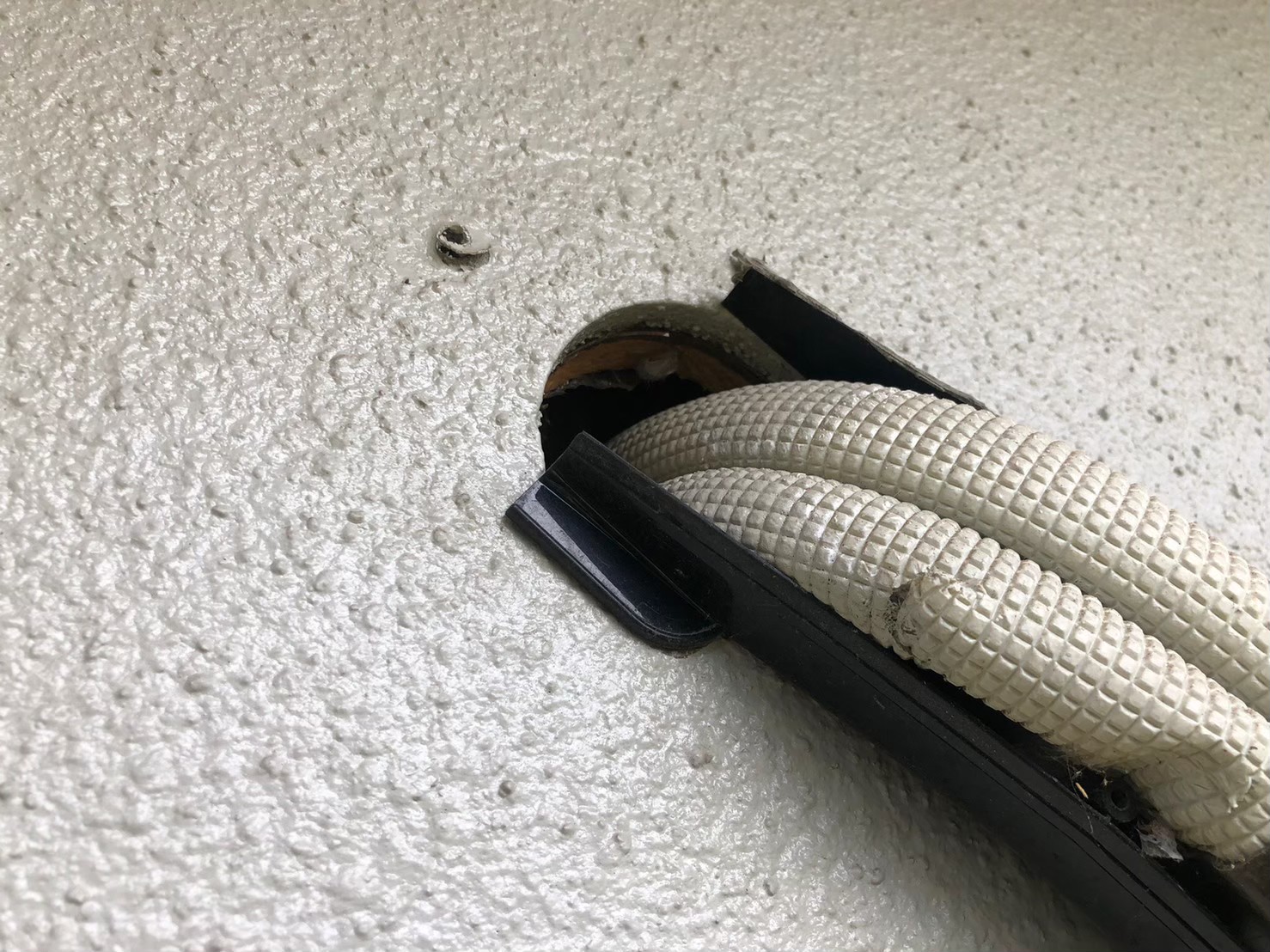 福岡県宮若市　イタチによる被害　M様邸　駆除実績