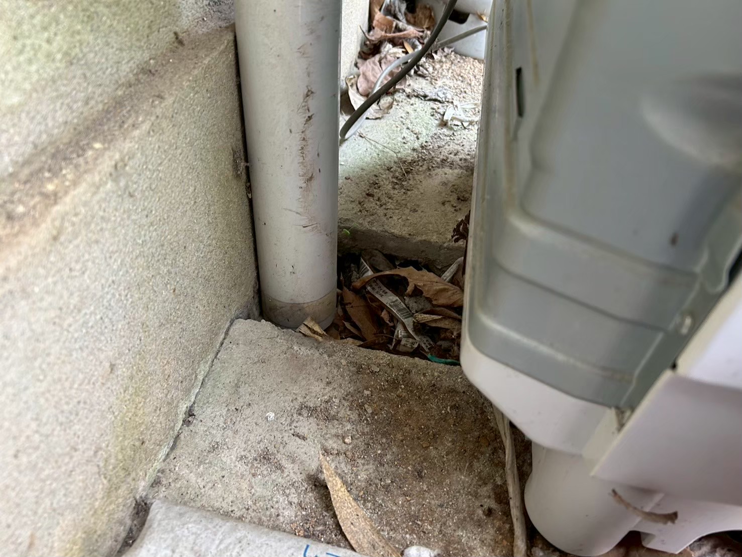佐賀県三養基郡上峰町　イタチによる被害　O様邸　駆除実績