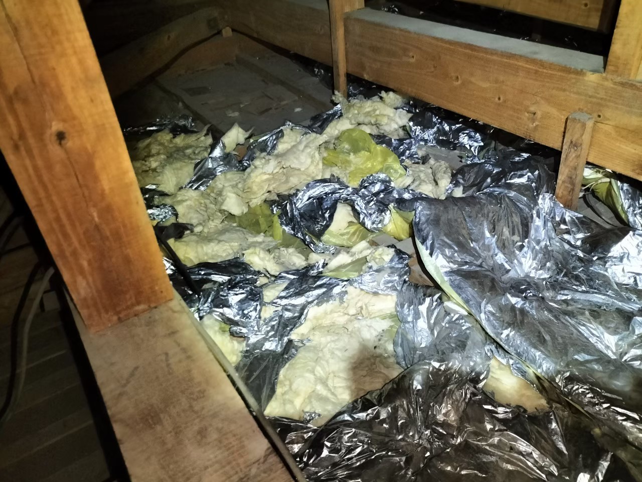 長崎県松浦市　イタチによる被害　T様邸　駆除実績