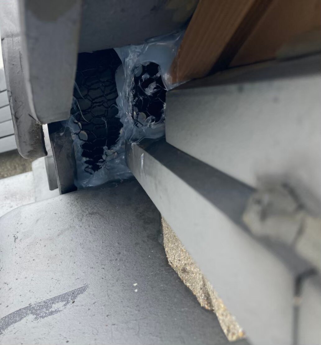 イタチによる被害　U様邸　駆除実績