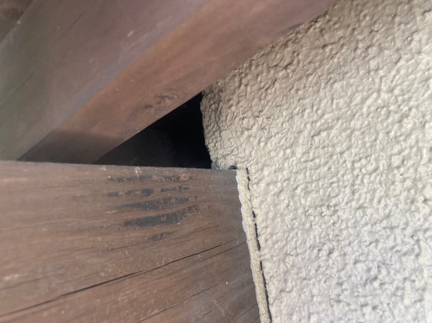 イタチによる被害　H様邸　駆除実績