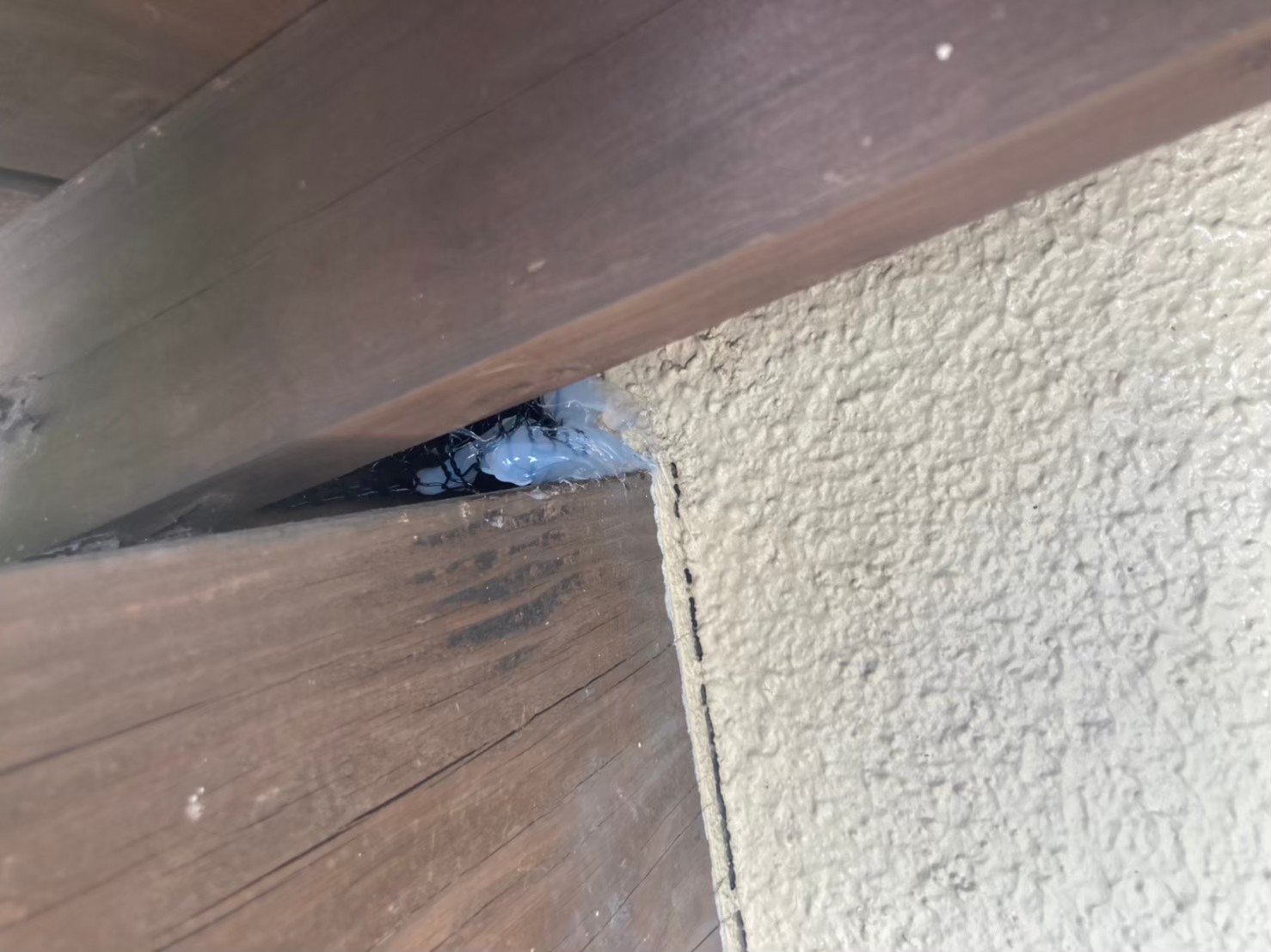 イタチによる被害　H様邸　駆除実績