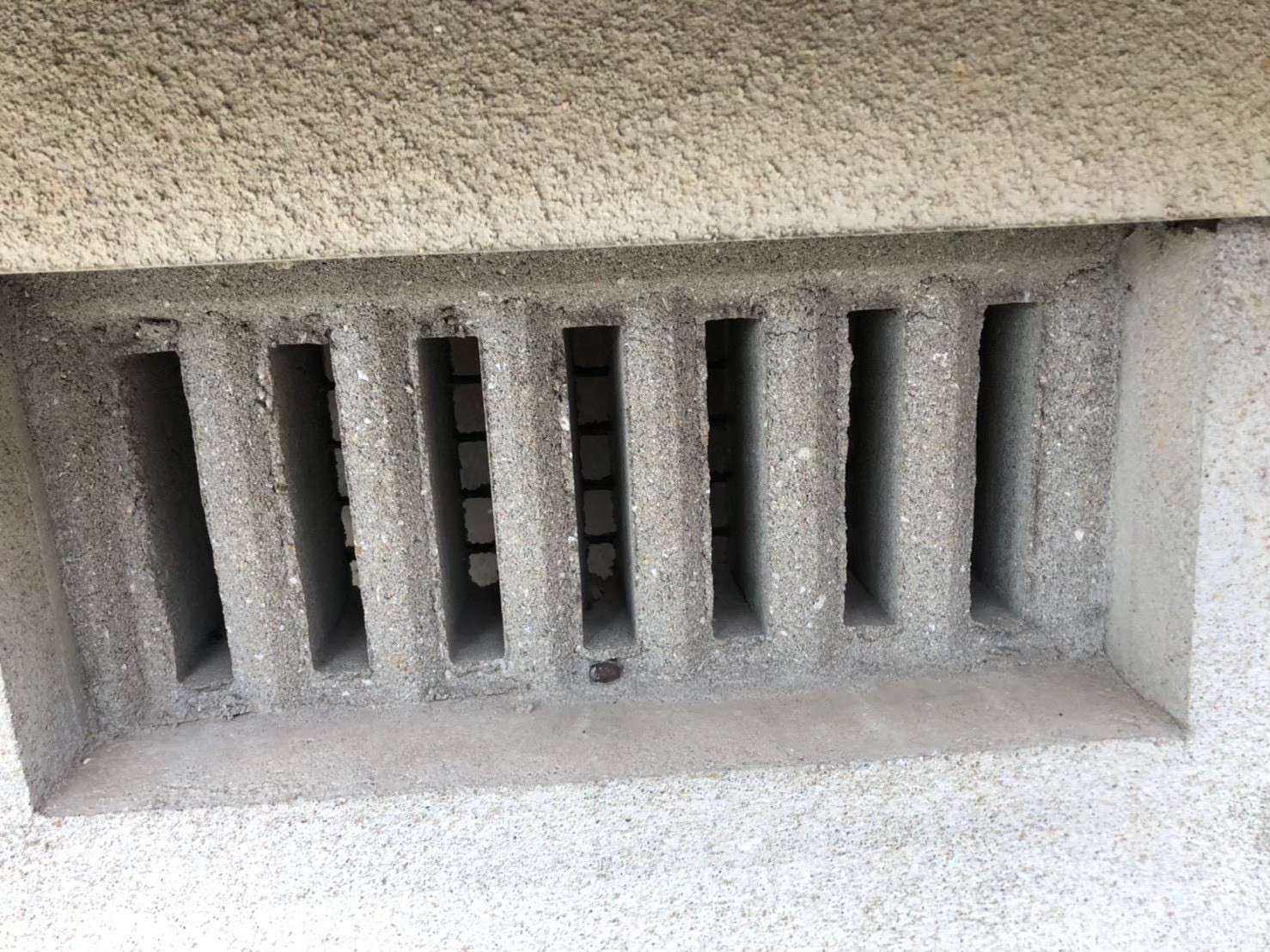 イタチによる被害　H様邸　駆除実績