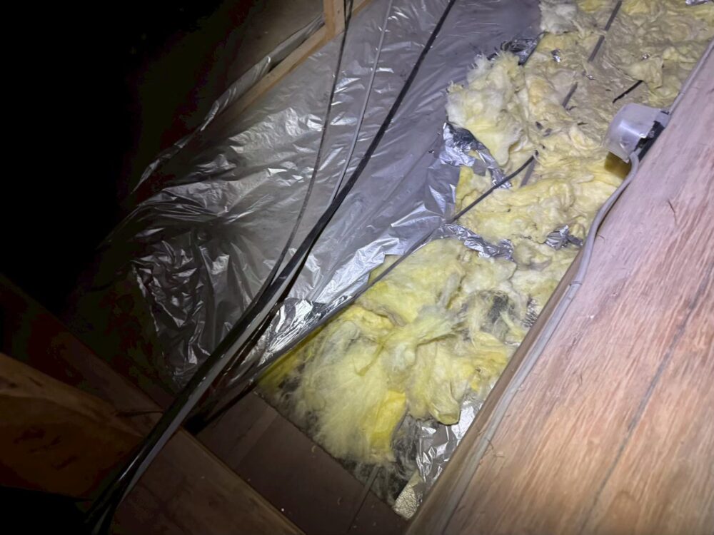 長崎県長崎市　イタチによる被害　T様邸　駆除実績