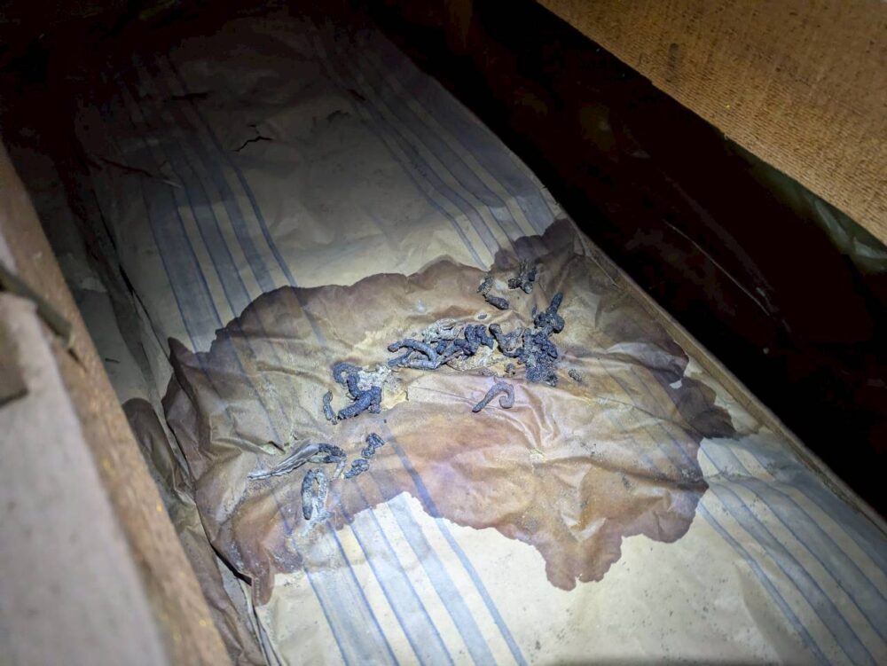 山口県下関市　イタチによる被害　A様邸　駆除実績