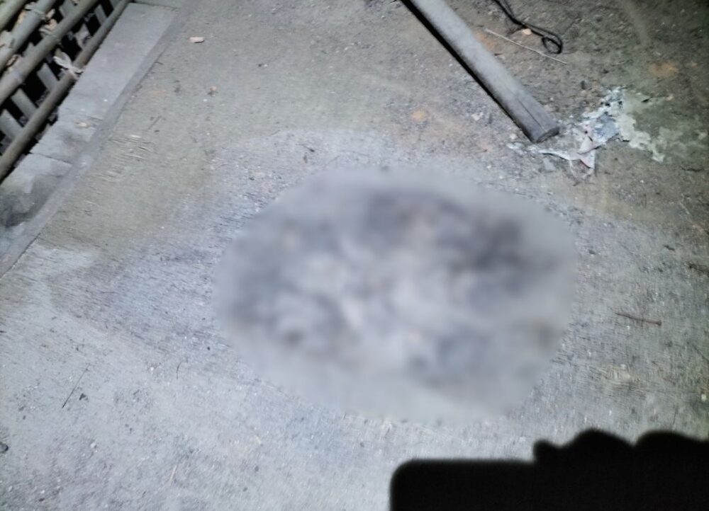 佐賀県三養基郡上峰町　イタチによる被害　S様邸　駆除実績