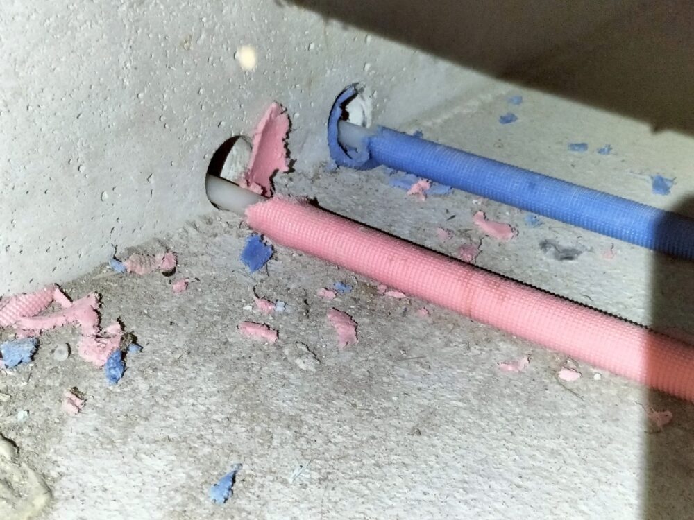 長崎県西彼杵郡時津町　イタチによる被害　S様邸　駆除実績