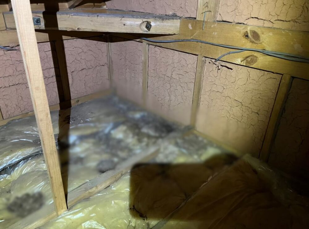 福岡県糟屋郡神宮町　イタチによる被害　I様邸　駆除実績