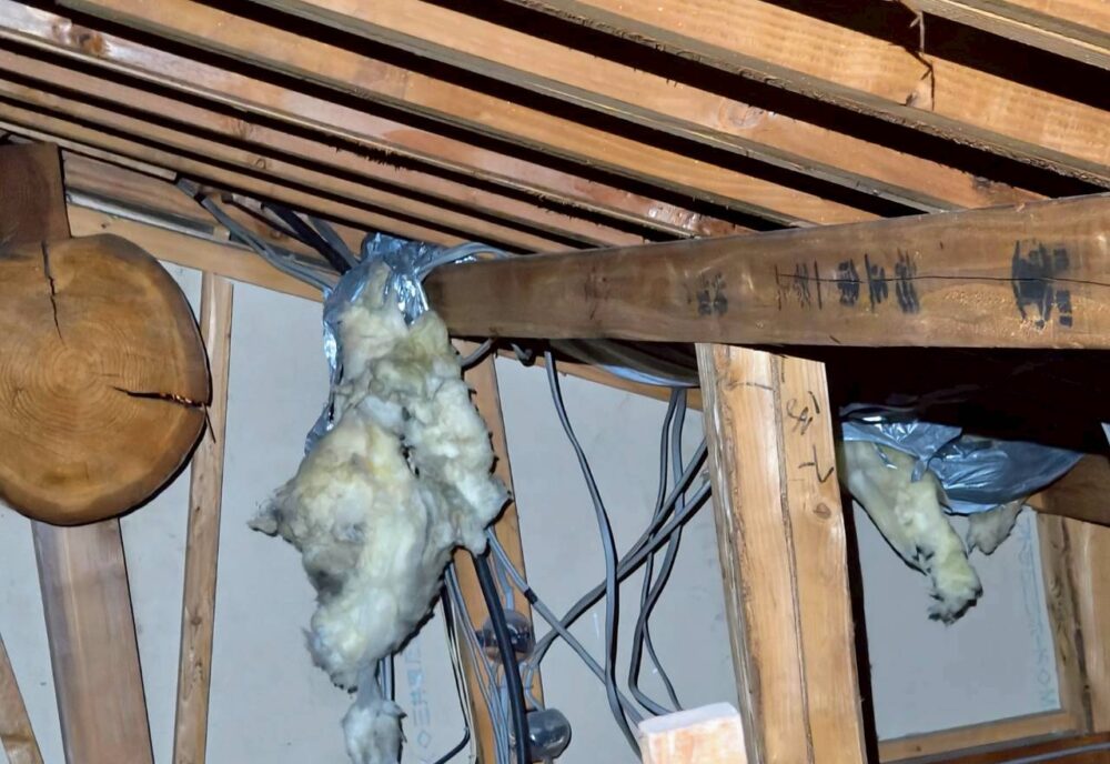佐賀県西松浦郡有田町　イタチによる被害　E様邸　駆除実績