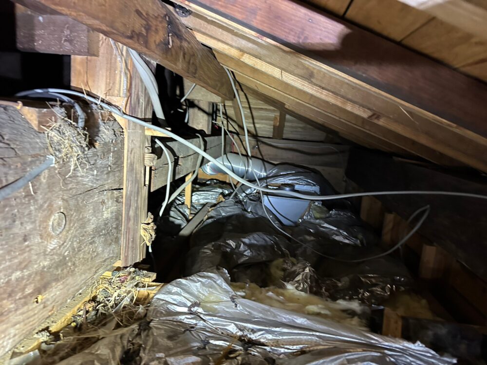 山口県下関市　イタチによる被害　W様邸　駆除実績