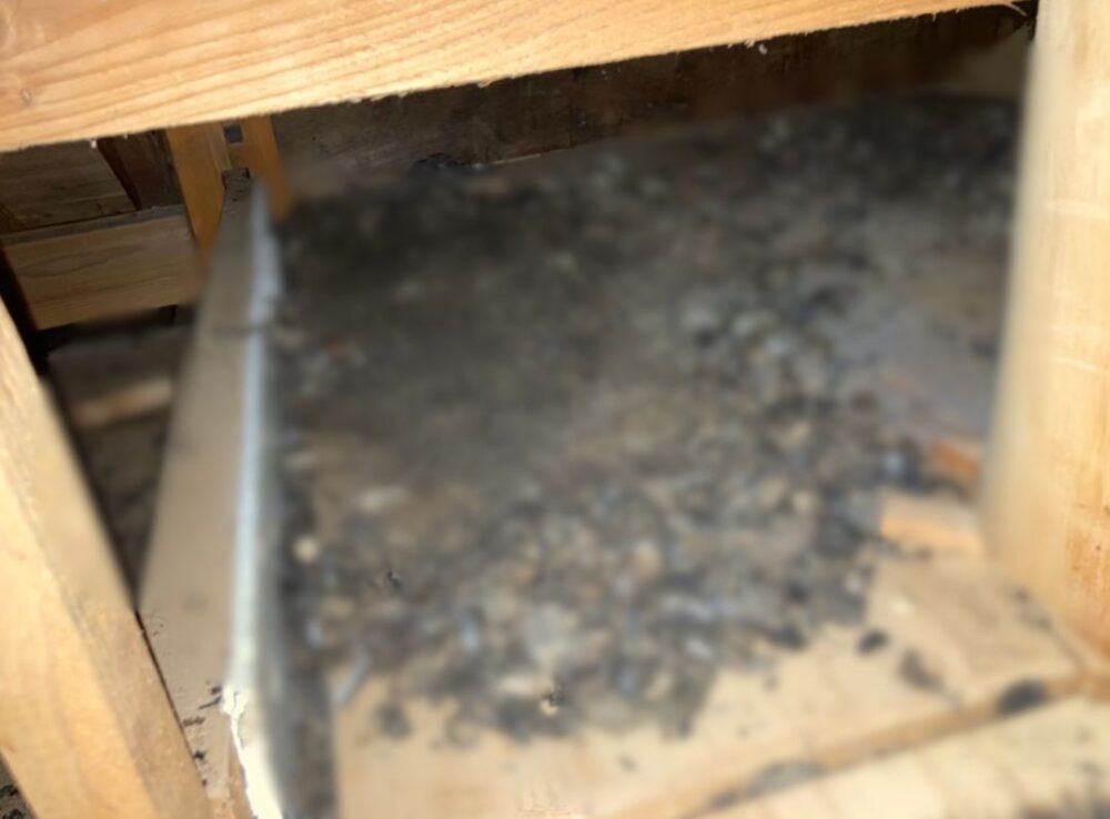 佐賀県杵島郡白石町　イタチによる被害　U様邸　駆除実績