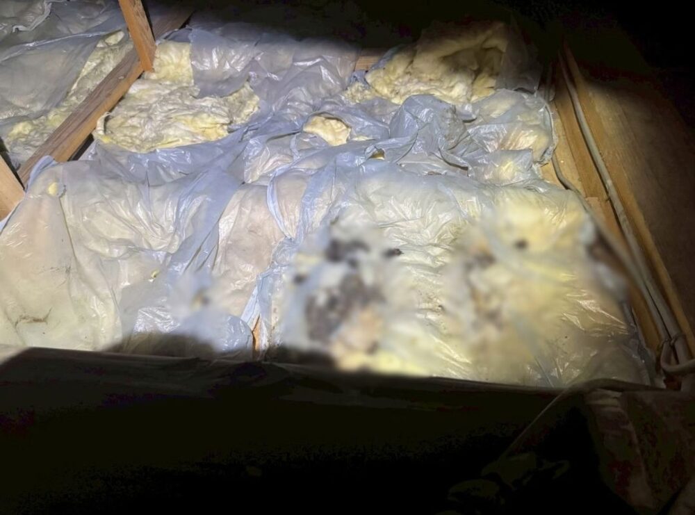 福岡県糟屋郡久山町　イタチによる被害　J様邸　駆除実績