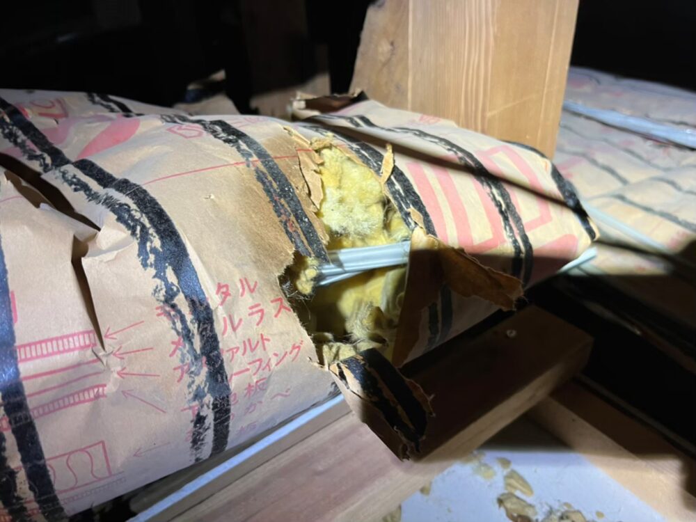 長崎県南島原市　イタチによる被害　T様邸　駆除実績