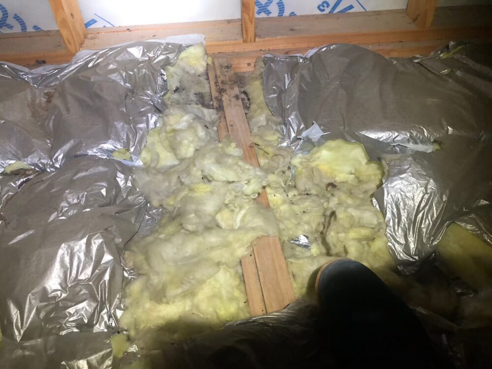 佐賀県杵島郡白石町　イタチによる被害　B様邸　駆除実績