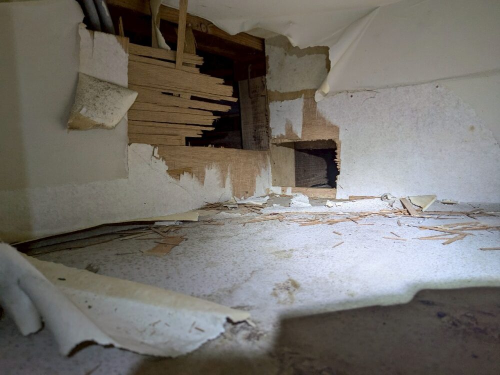 福岡県北九州市　イタチによる被害　E様邸　駆除実績