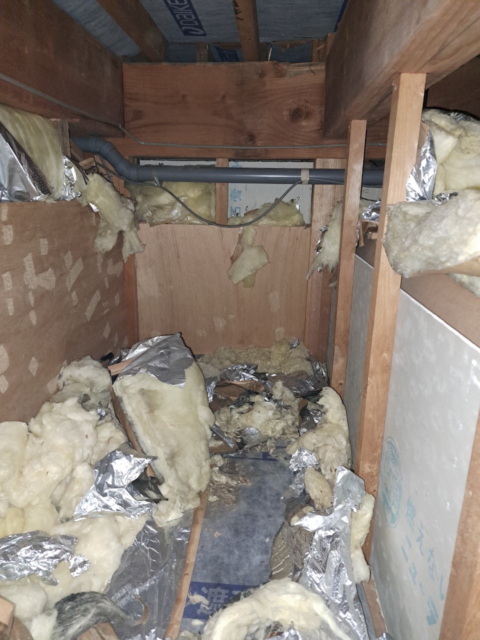 福岡県太宰府市　イタチによる被害　Y様邸　駆除実績