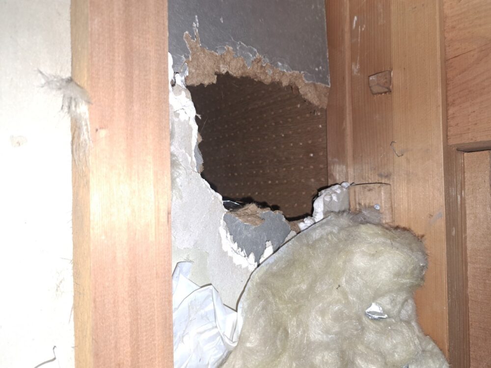 佐賀県多久市　イタチによる被害　R様邸　駆除実績