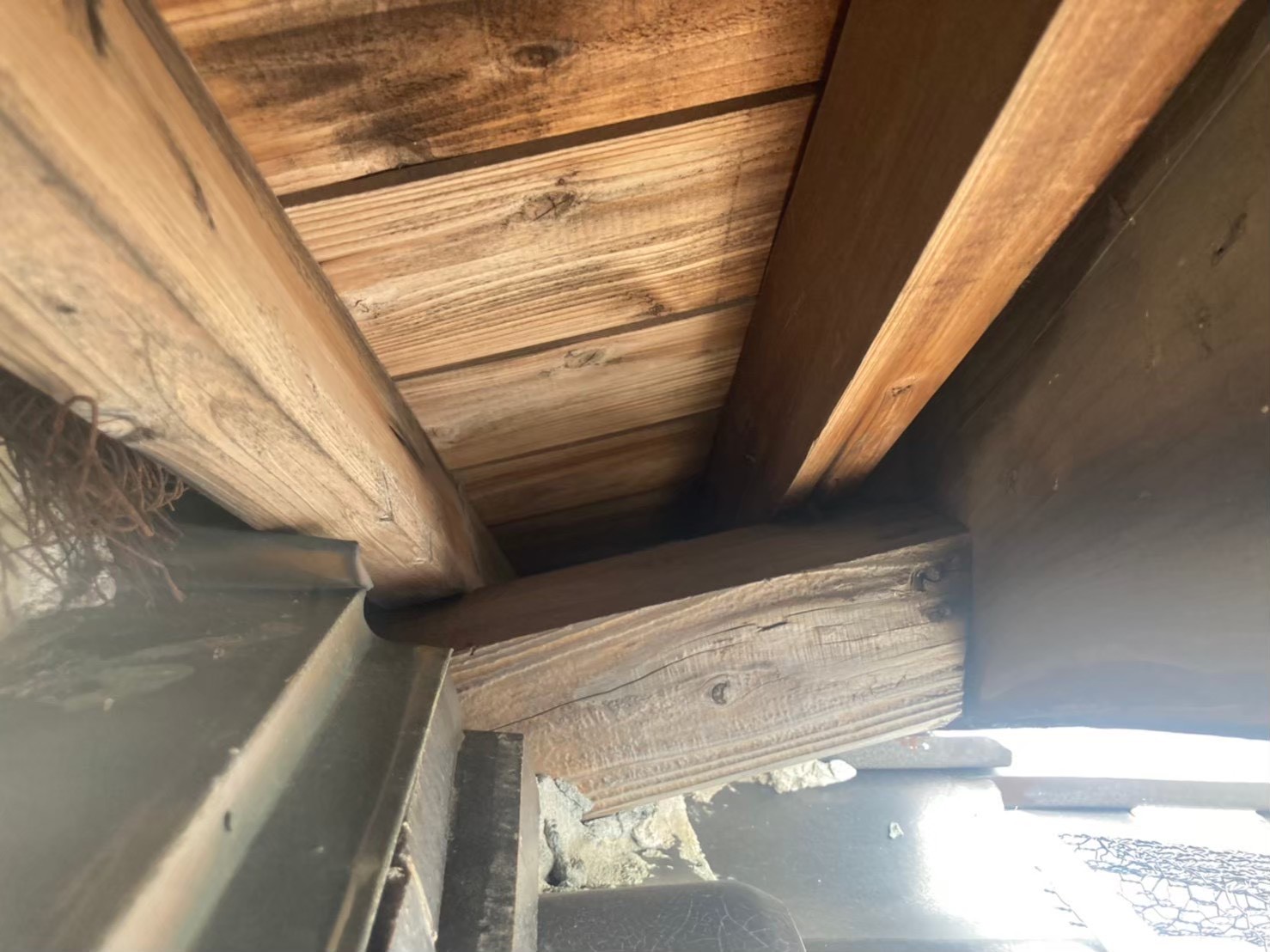 イタチによる被害　H様邸　駆除実績