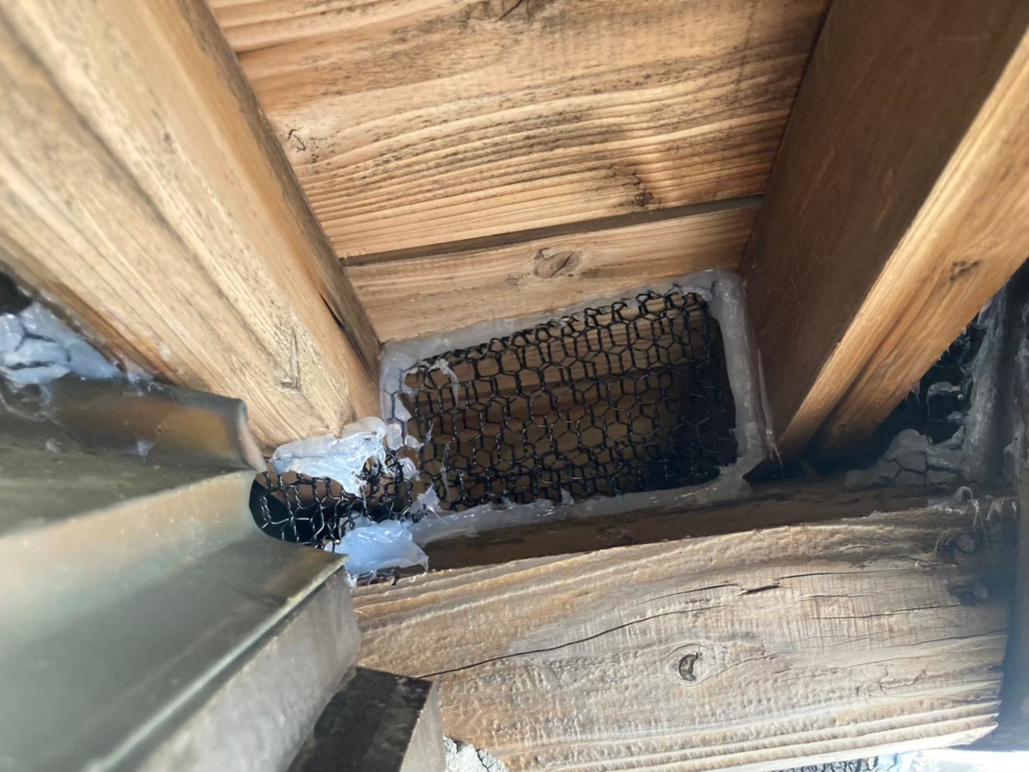 イタチによる被害　H様邸　駆除実績