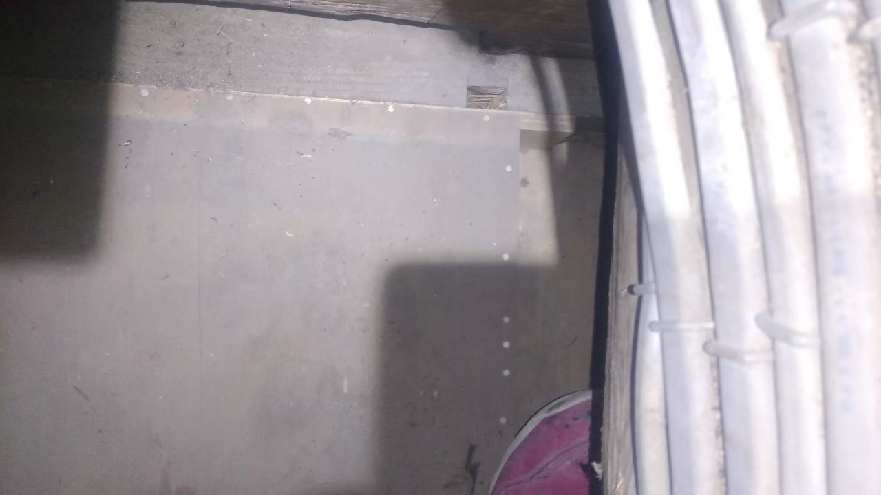 イタチによる被害　N様邸　駆除実績