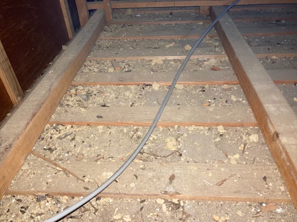 イタチによる被害　N様邸　駆除実績