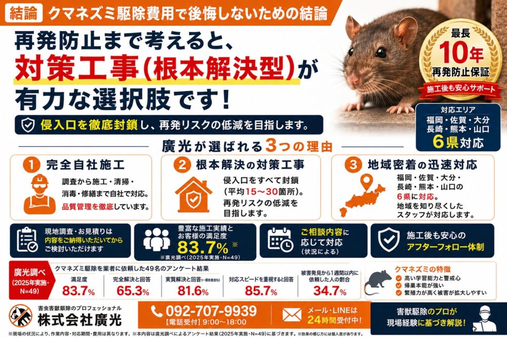 クマネズミの駆除費用はいくら？相場の目安と業者の選び方を解説