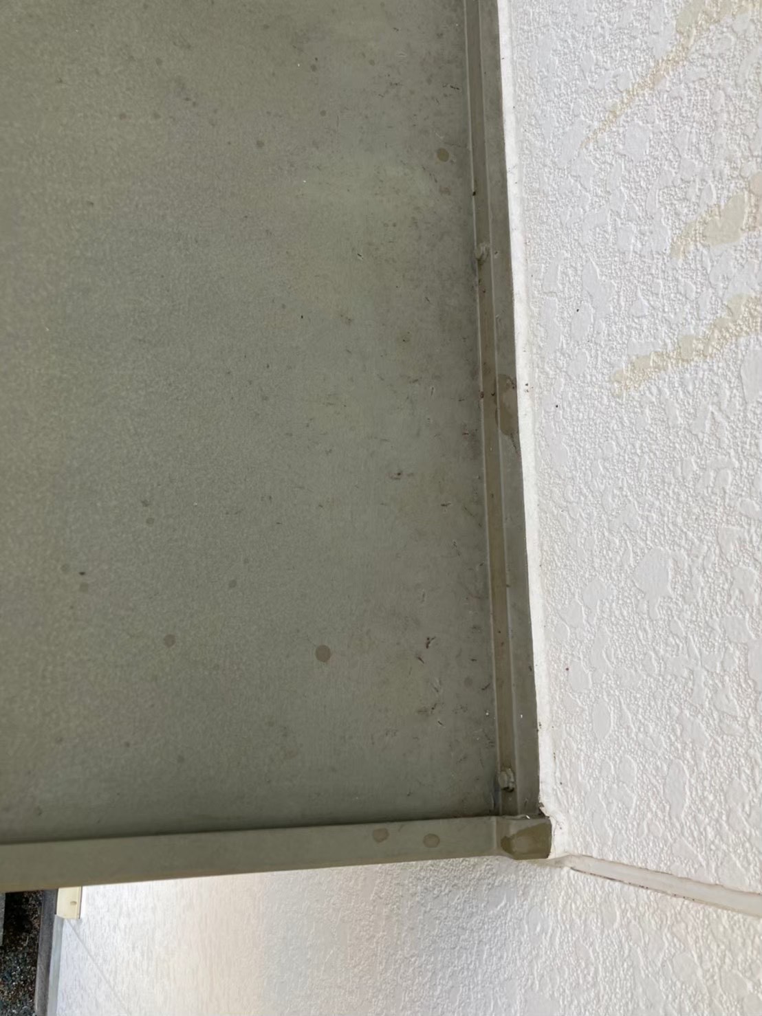 コウモリによる被害　U様邸　駆除実績